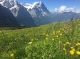 Highlighting the sustainable management of mountain grasslands